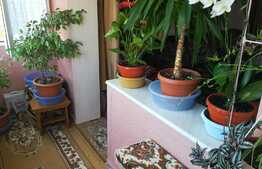 Apartament 2 camere, decomandat, 60 mp utili, zona Lipovei