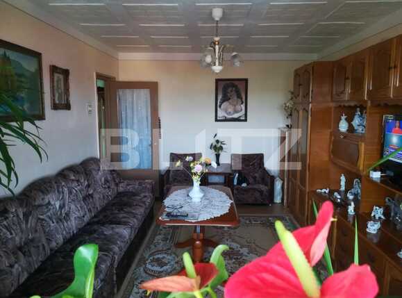 Apartament de vânzare 2 camere Lipovei - 69962AV | BLITZ Timișoara | Poza1