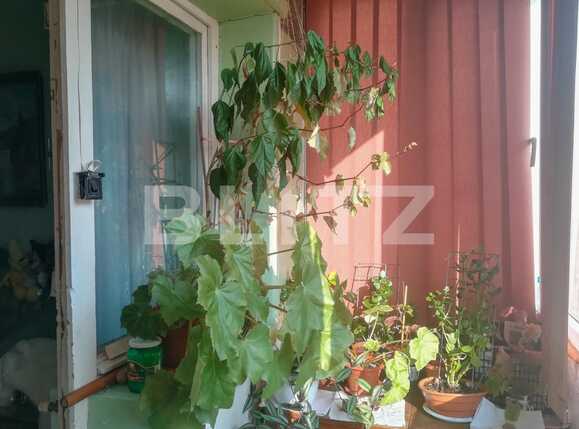 Apartament de vânzare 3 camere Dacia - 69988AV | BLITZ Timișoara | Poza6