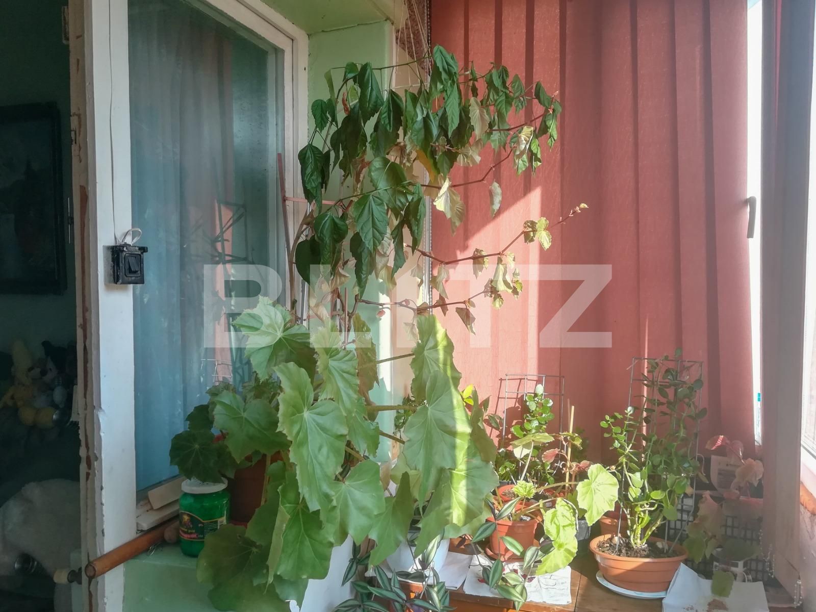 Apartament de vânzare 3 camere Dacia - 69988AV | BLITZ Timișoara | Poza6