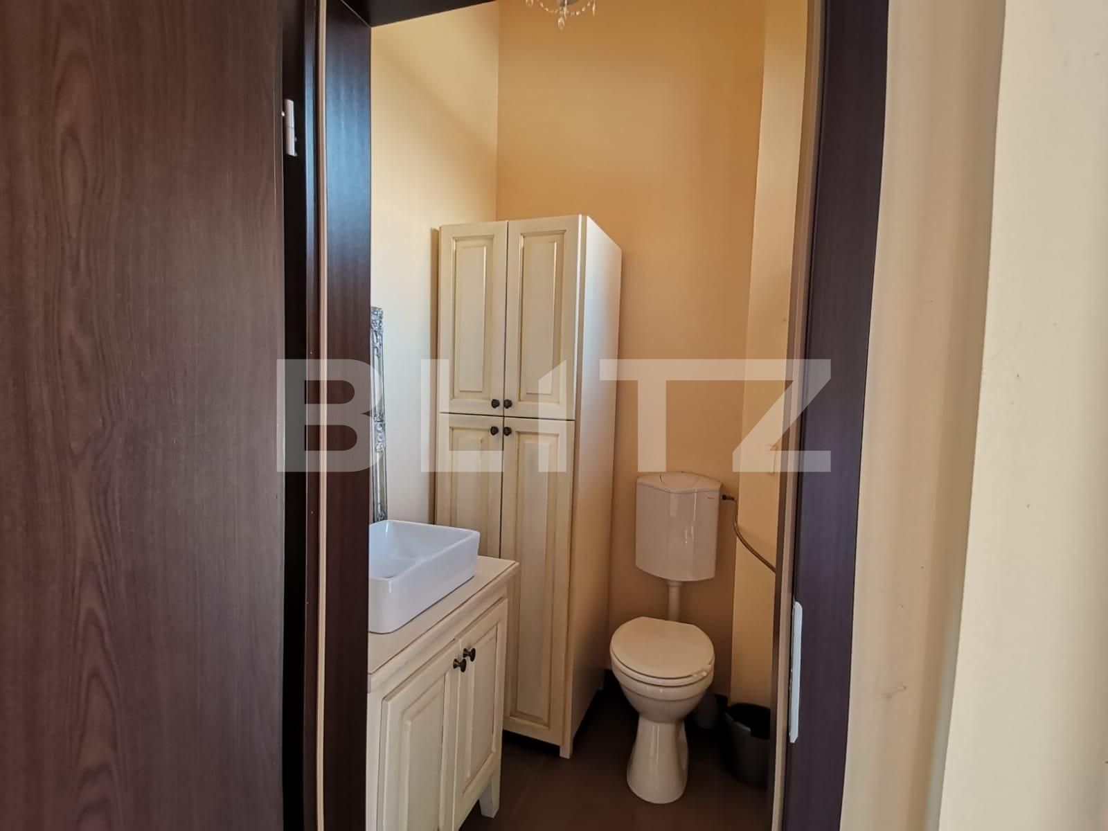 Spațiu comercial de închiriat Ultracentral - 70001SIC | BLITZ Timișoara | Poza10