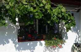 Casa individuala, 148 mp utili, 1001 mp teren, Zona Ronat