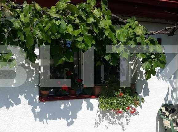 Casa de vânzare 3 camere  - 70117CV | BLITZ Timișoara | Poza8