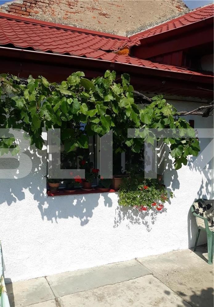 Casa de vânzare 3 camere  - 70117CV | BLITZ Timișoara | Poza8