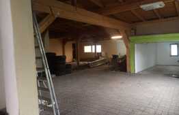 Casa cu depozit, 100 mp, teren 720 mp, zona Mehala