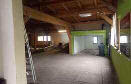 Casa cu depozit, 100 mp, teren 720 mp, zona Mehala