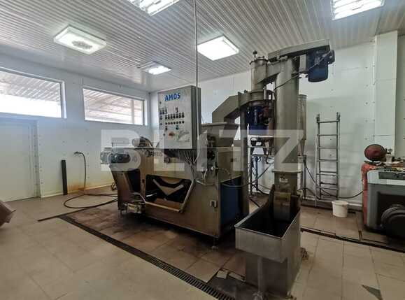 Casa de vânzare 3 camere Exterior Vest - 70231CV | BLITZ Timișoara | Poza12