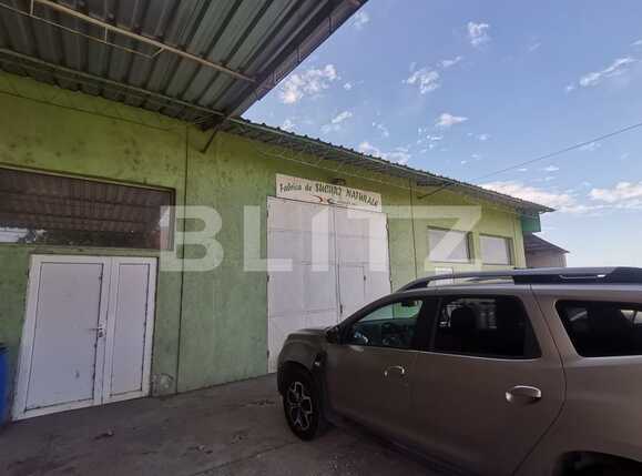 Casa de vânzare 3 camere Exterior Vest - 70231CV | BLITZ Timișoara | Poza7