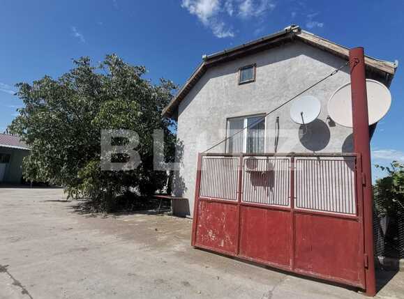 Casa de vânzare 3 camere Exterior Vest - 70231CV | BLITZ Timișoara | Poza4