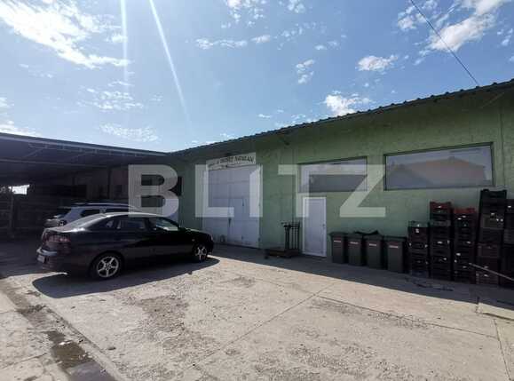 Casa de vânzare 3 camere Exterior Vest - 70231CV | BLITZ Timișoara | Poza6