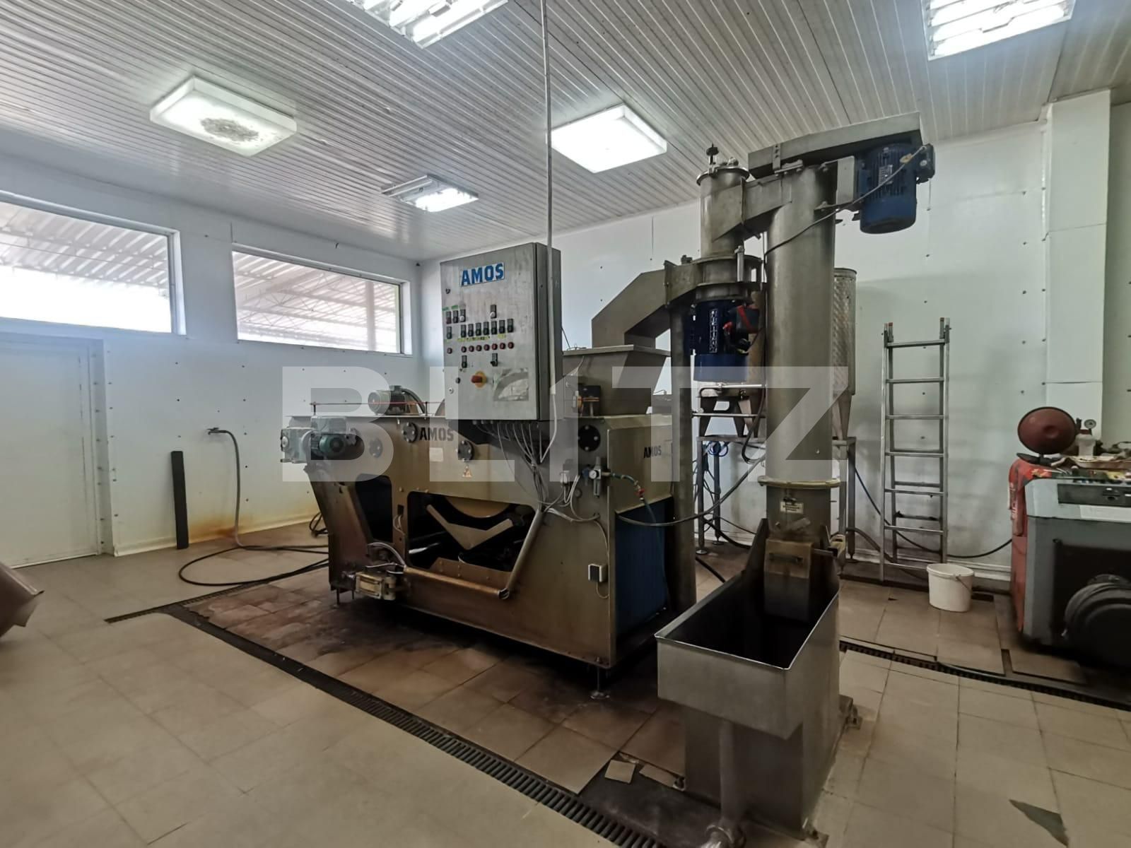 Casa de vânzare 3 camere Exterior Vest - 70231CV | BLITZ Timișoara | Poza12