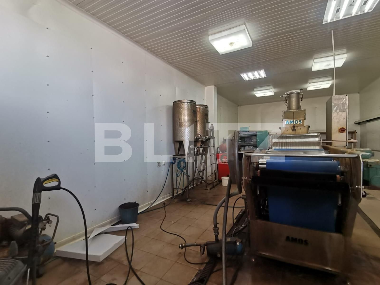 Casa de vânzare 3 camere Exterior Vest - 70231CV | BLITZ Timișoara | Poza10