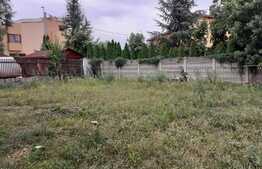 1/2 Duplex de vânzare, 450 mp utili, 500 mp teren, în Dumbrăviţa 