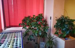 Apartament 2 camere, decomandat, 52 mp utili, zona Plavat II