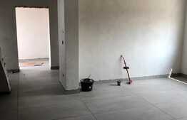 Duplex de 100 mp utili, 230 mp teren, Mosnita Noua!