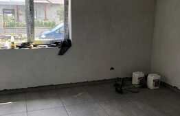 Duplex de 100 mp utili, 230 mp teren, Mosnita Noua!