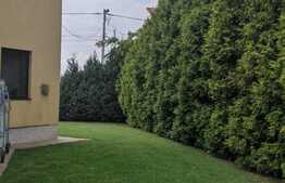 Casa individuala, 240 mp utili, 720 mp teren, Zona Freidorf