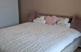 Casa individuala, 240 mp utili, 720 mp teren, Zona Freidorf