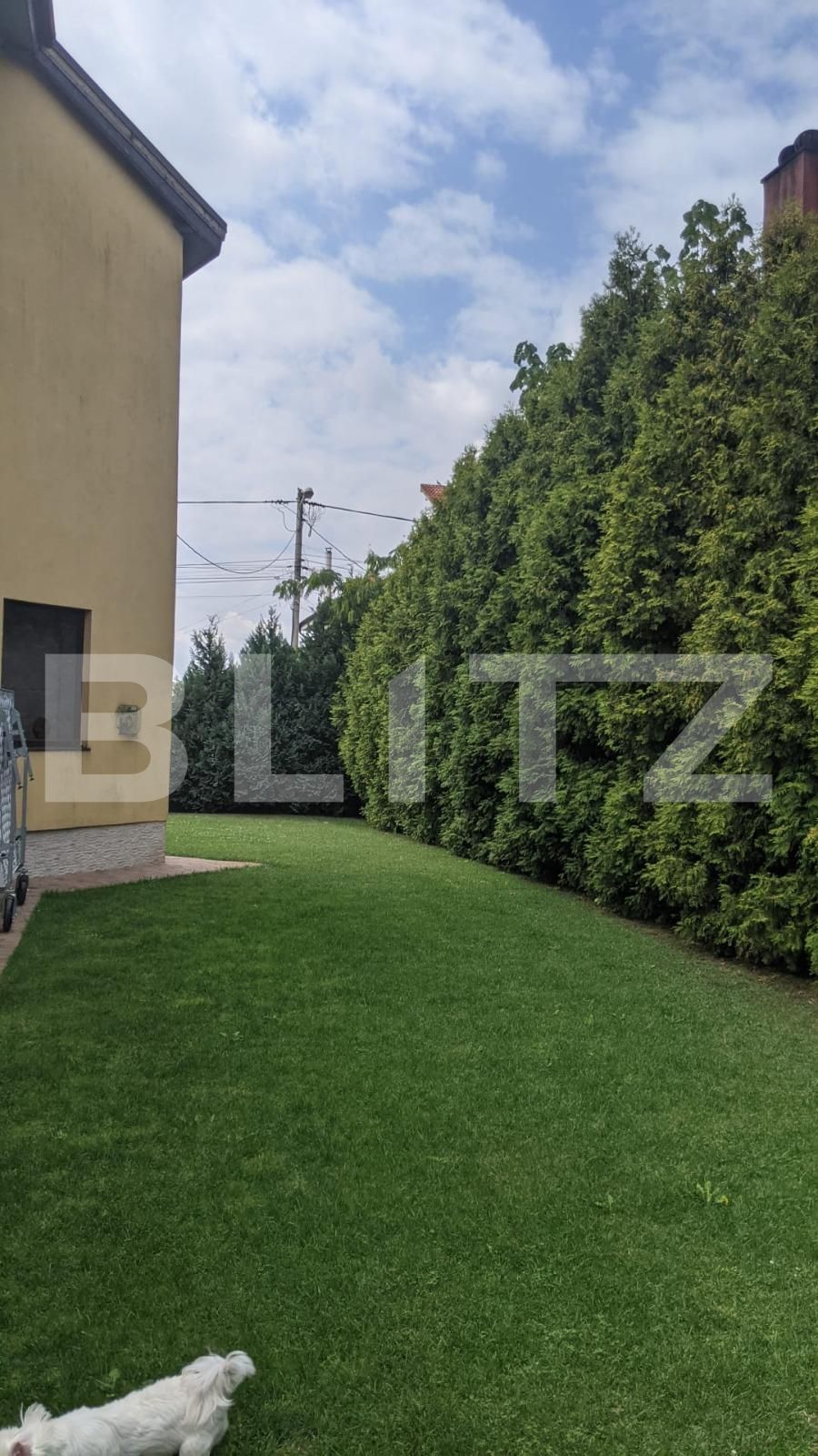Casa de vânzare 5 camere Freidorf - 70473CV | BLITZ Timișoara | Poza3