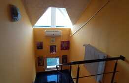 Casă de 190 mp utili, piscina, teren 1264 mp, Remetea Mare, Timiş 