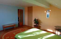 Casă de 190 mp utili, piscina, teren 1264 mp, Remetea Mare, Timiş 