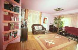 Casă de 190 mp utili, piscina, teren 1264 mp, Remetea Mare, Timiş 