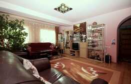 Casă de 190 mp utili, piscina, teren 1264 mp, Remetea Mare, Timiş 