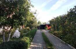 Casă de 190 mp utili, piscina, teren 1264 mp, Remetea Mare, Timiş 