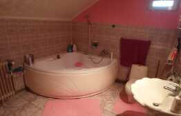 Casă de 190 mp utili, piscina, teren 1264 mp, Remetea Mare, Timiş 