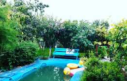 Casă de 190 mp utili, piscina, teren 1264 mp, Remetea Mare, Timiş 