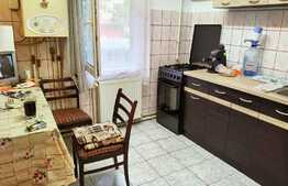 Investitie! Apartament 4 camere, 78 mp, parter, zona Lipovei 