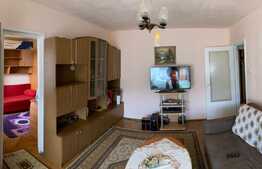 Apartament de 2 camere, 40 mp, zona Iosefin 