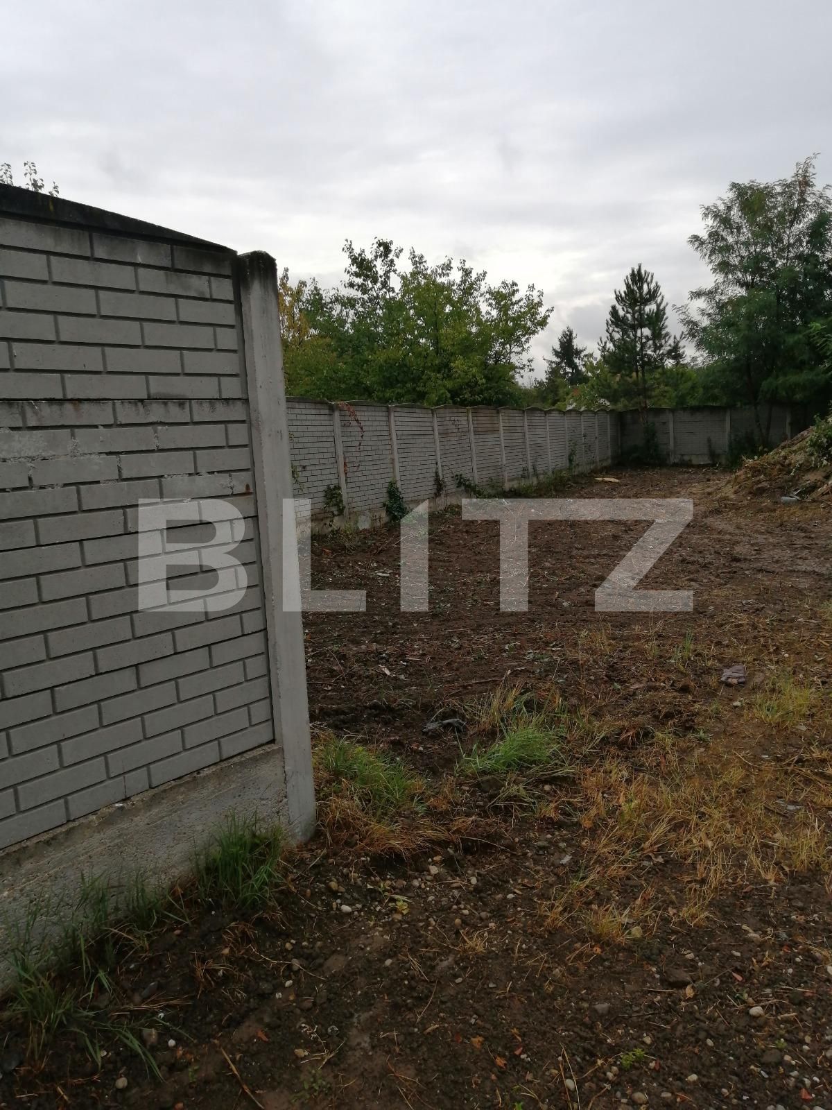 Teren de vânzare Fratelia - 70567TV | BLITZ Timișoara | Poza3