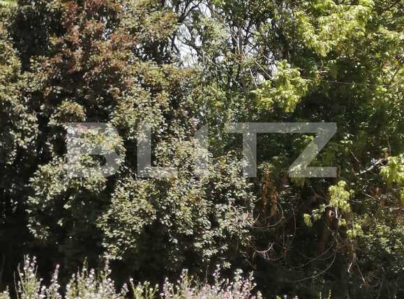 Teren de vânzare Exterior Sud - 70568TV | BLITZ Timișoara | Poza1