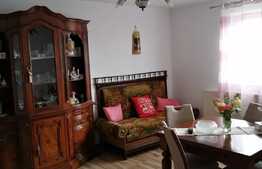 Casa complet renovata, 190 mp utili si 1140 mp teren, Recas!