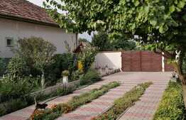 Casa complet renovata, 190 mp utili si 1140 mp teren, Recas!