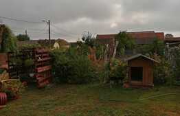 Casa complet renovata, 190 mp utili si 1140 mp teren, Recas!