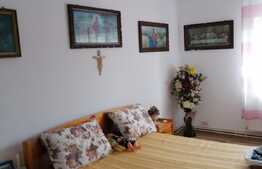 Casa complet renovata, 190 mp utili si 1140 mp teren, Recas!