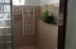 Casa complet renovata, 190 mp utili si 1140 mp teren, Recas!