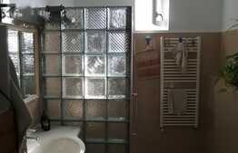 Casa complet renovata, 190 mp utili si 1140 mp teren, Recas!