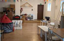 Casa P+E1+M de 7 camere , 385 mp utili, Muzicescu