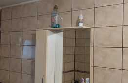 Casa P+E1+M de 7 camere , 385 mp utili, Muzicescu