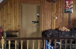 Casa P+E1+M de 7 camere , 385 mp utili, Muzicescu