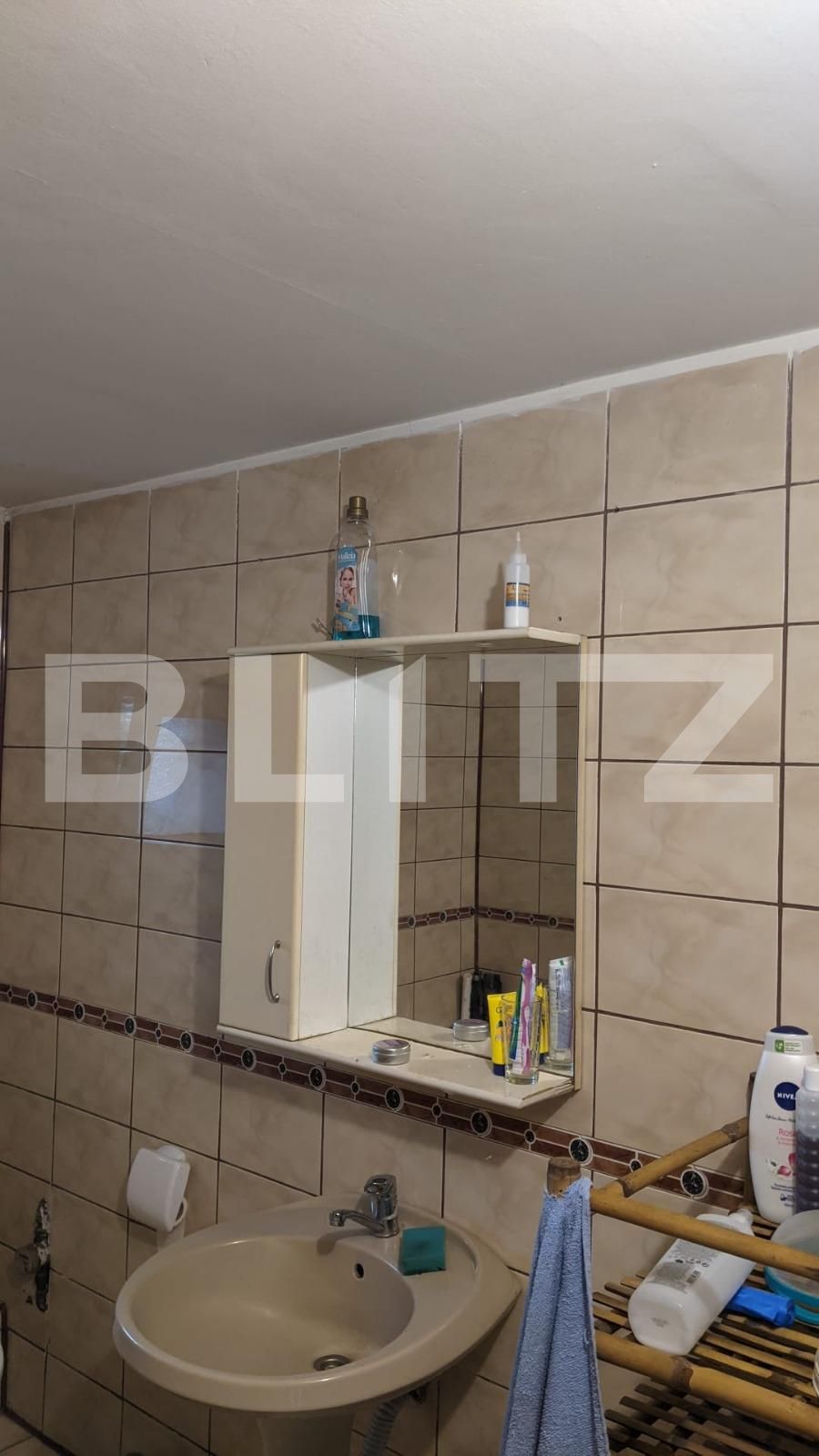 Casa de vânzare 7 camere Sagului - 70595CV | BLITZ Timișoara | Poza7