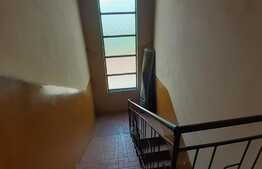 Casă individuală P+1, cartier Buziaşului, 247 suprafaţă teren