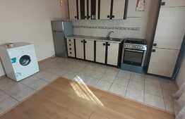 Casă individuală P+1, cartier Buziaşului, 247 suprafaţă teren