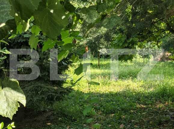 Casa de vânzare 3 camere Fabric - 70684CV | BLITZ Timișoara | Poza3