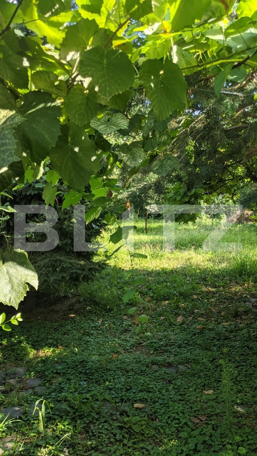 Casa de vânzare 3 camere Fabric - 70684CV | BLITZ Timișoara | Poza3