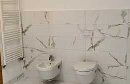 Casa individuala, 196 mp utili, 704 mp teren, zona accesibila, Sag