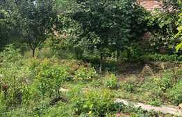 Casa individuala de 110 mp utili, teren 449 mp, zona Blascovici!